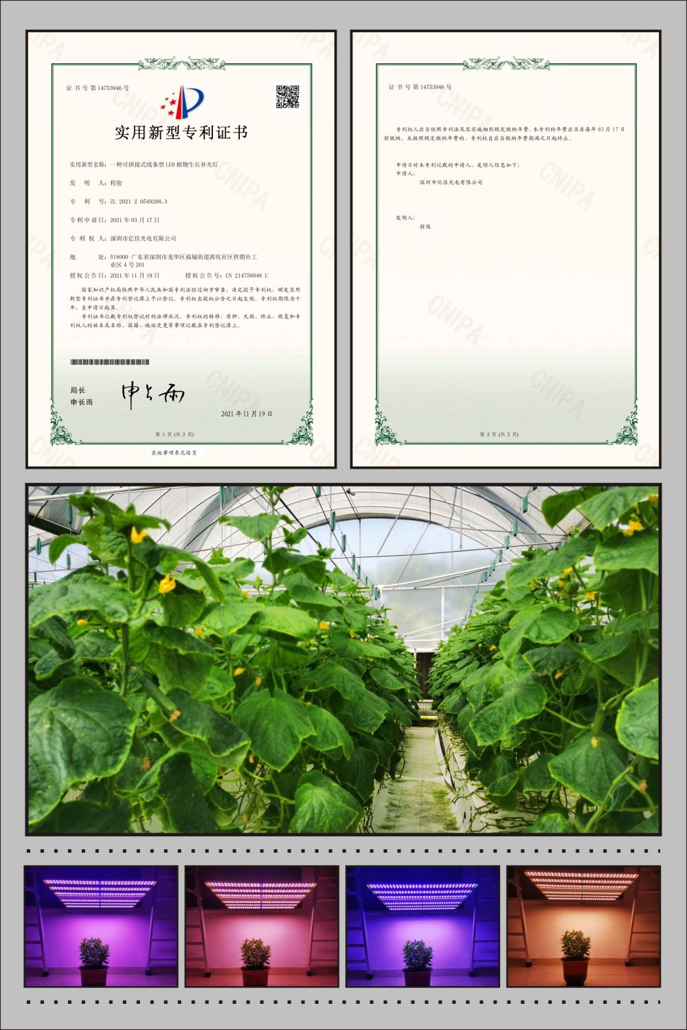988pay钱包植物农场灯适用新型专利