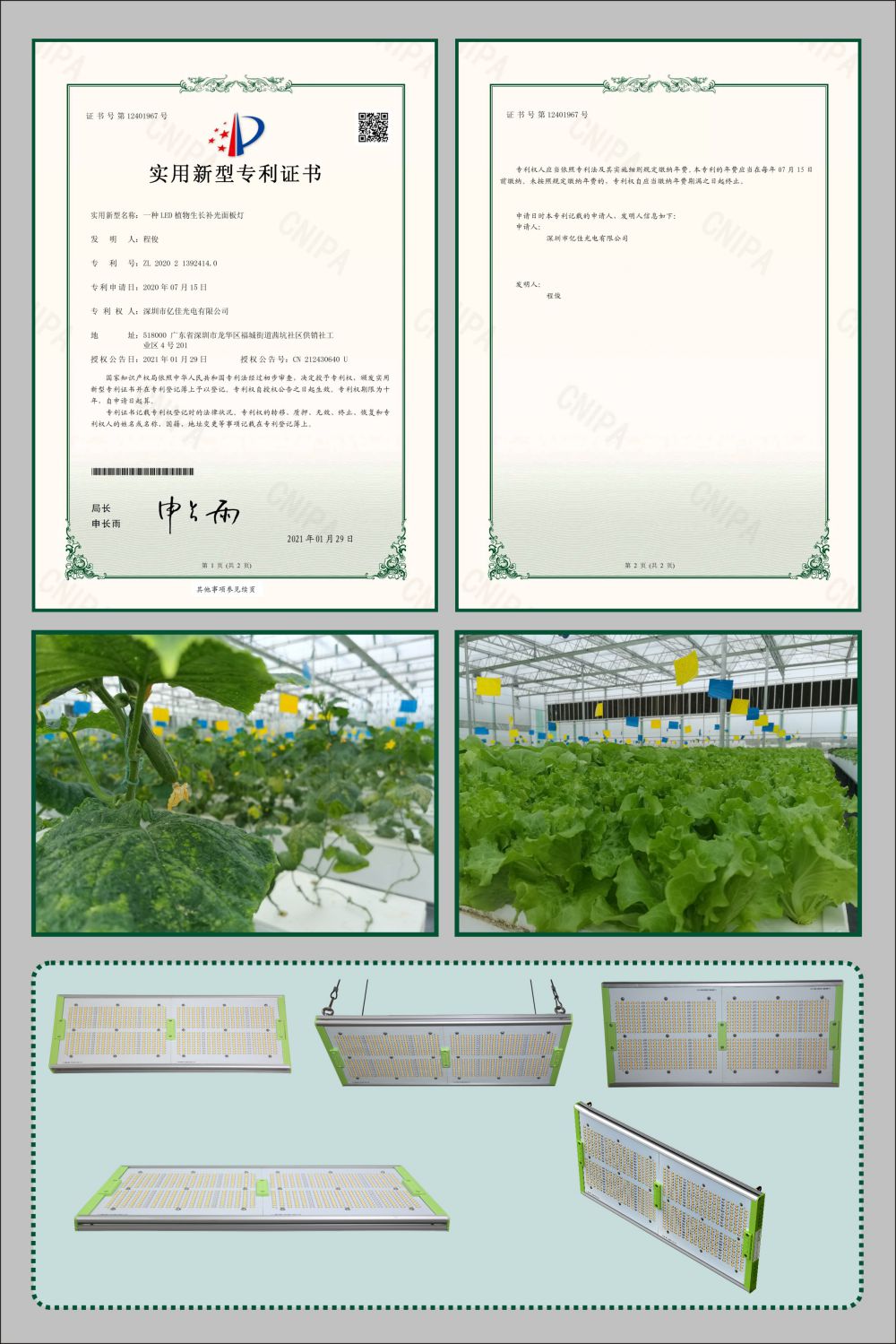 988pay钱包植物生长面板灯适用新型专利